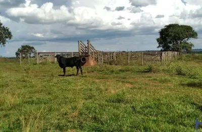 Fazenda com 15 alqueires dupla aptidão no município de campina verde - mg