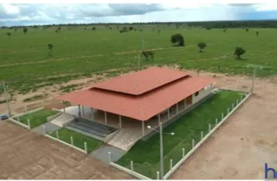 Fazenda dupla aptidão com 395 alqueires em alvorada - to