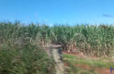 Fazenda dupla aptidão em cana com 54 alqueires em ituiutaba - mg
