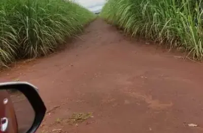 Fazenda à venda na Estrada Vicinal Municipal De Paraúna, S/ N, Zona Rural, Paraúna