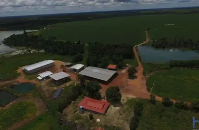 Fazenda com 955 alqueires dupla aptidão em divinópolis do tocantins - to