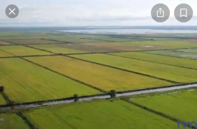 Fazenda dupla aptidão com 6.144 alqueires em lagoa da confusão - to  região do vale do araguaia