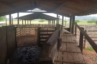 Fazenda com 1.042 alqueires dupla aptidão em são félix do xingu-pa