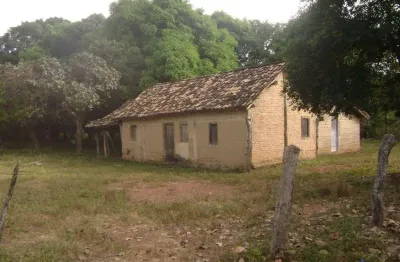 Fazenda à venda na Estrada Vicinal Municipal De Dianópolis, KM 40, Zona Rural, Dianópolis
