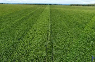 Fazenda com 764 alqueires para agricultura no município de diamantino - mt