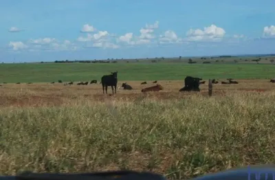 Fazenda dupla aptidão com 6.200  hectares em camapuã-ms