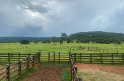 Fazenda dupla aptidão com  295 alqueires no município de itarumã - go
