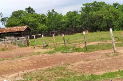 Fazenda 1.510 alqueires de dupla aptidão em silvanópolis-to