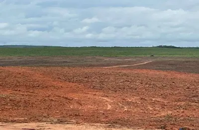 Fazenda bruta de dupla aptidão com 887 alqueires em lagoa do tocantins - to