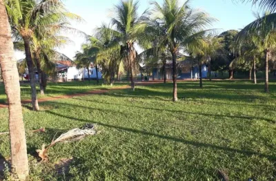 Fazenda dupla aptidão com 6.611 alqueires em sandolândia - to