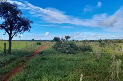 Fazenda dupla aptidão 14 alqueires monte alegre de minas-mg