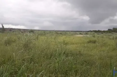 Fazenda dupla aptidão com 141 alqueires em santa rita do tocantins - to