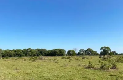 Fazenda dupla aptidão com 447 alqueires em são miguel do araguaia - go