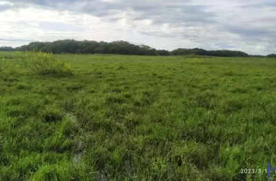 Fazenda para pecuária com 800 alqueires paulistas em aquidauana - ms