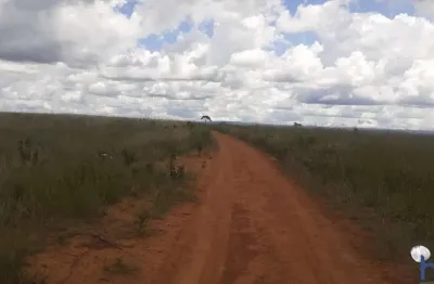 Fazenda dupla aptidão com 200 alqueires no município de água fria de goiás- go
