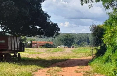Fazenda à venda na Estrada Vicinal Municipal Do Prata, km 4,2, Zona Rural, Prata