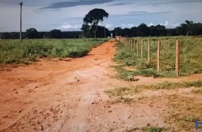 Fazenda com 251 alqueires dupla aptidão no município de peixe - to
