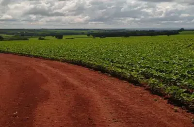 Fazenda com 85 alqueires dupla aptidão em cristianópolis - go