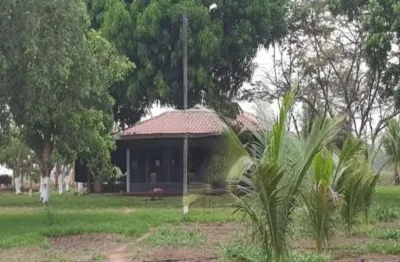 Fazenda com 1.777 alqueires dupla aptidão no município de colinas - to