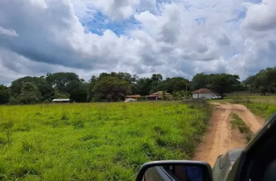 Fazenda com 286 alqueires dupla aptidão em formoso do araguaia - to