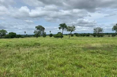 Fazenda à venda na Estrada Rural De União De Minas, S/N, Zona Rural, União de Minas