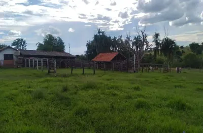 Fazenda com 45 alqueires dupla aptidão no município de campina verde - mg