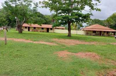 Fazenda com 1.004 alqueires dupla aptidão em formoso do araguaia - to