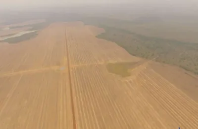 Fazenda com 514 alqueires dupla aptidão em água boa - mt