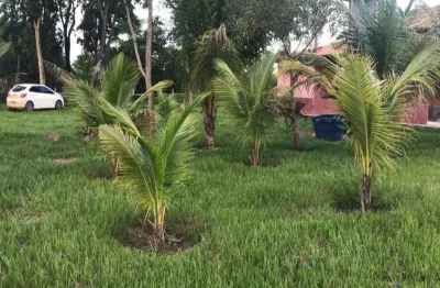 Fazenda com 1.000 alqueires dupla aptidão no município de nova crixás - go