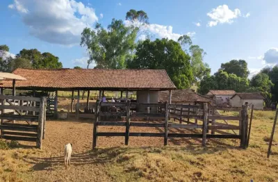 Fazenda 218 alqueires de dupla aptidão em formoso do araguaia-to