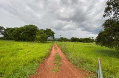 Fazenda à venda na Estrada Vicinal Municipal Do Prata, km 14,7, Zona Rural, Prata