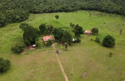 Fazenda com 254 alqueires para pecuária no município de miranorte - to