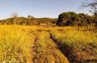 Fazenda com 125 alqueires dupla aptidão no município de bom jardim de goiás - go