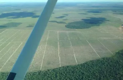 Fazenda dupla aptidão com 9.090 alqueires no município de santana do araguaia - pa