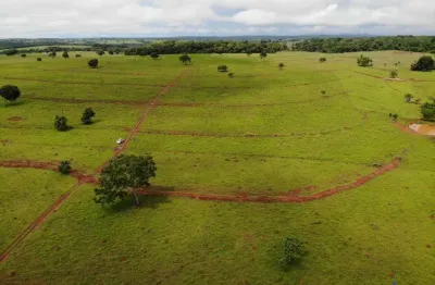 Fazenda com 51 alqueires dupla aptidão no município de jussara - go