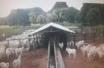 Fazenda com 1.998 alqueires dupla aptidão no município de campos lindos - to