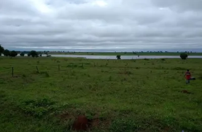 Fazenda com 110 alqueires dupla aptidão no município de paranaiguara - go