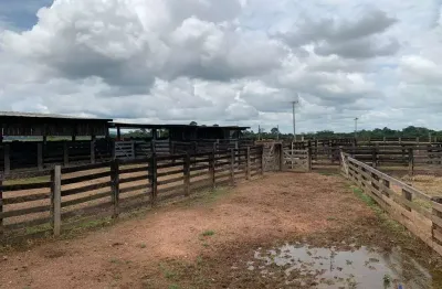 Fazenda com 600 alqueires dupla aptidão em são félix do xingu - pa