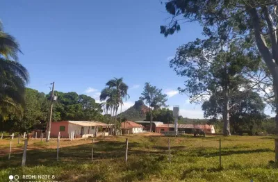 Fazenda dupla aptidão 651 alqueires município de alto araguaia - mt