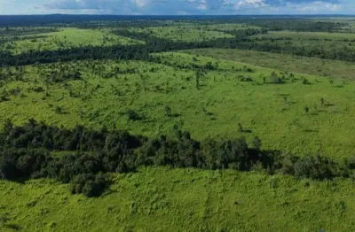 Fazenda 450 alqueires dupla aptidão em pequizeiro-to