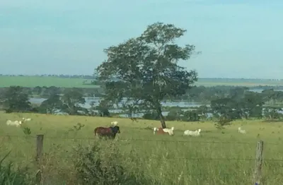 Fazenda à venda na Estrada Vicinal Municipal De Cachoeira Alta, km 35, Zona Rural, Cachoeira Alta