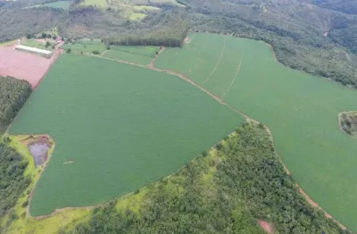 Fazenda dupla aptidão 150 alqueires paulistas em piumhi-mg