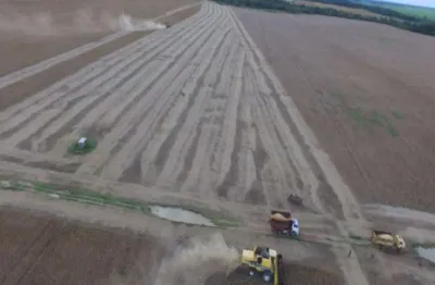 Fazenda de dupla aptidão com 1.370 alqueires em cocalinho-mt