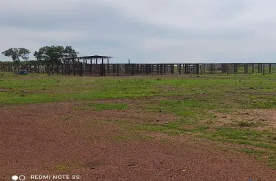 Fazenda com 320 alqueires dupla aptidão em bom jesus do tocantins - to