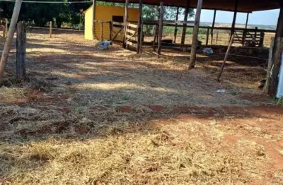 Fazenda com 15 alqueires dupla aptidão no município de araporã - mg