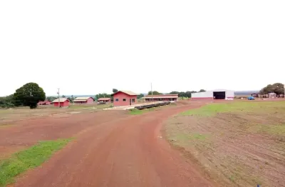 Fazenda com 936 alqueires dupla aptidão em divinópolis do tocantins - to