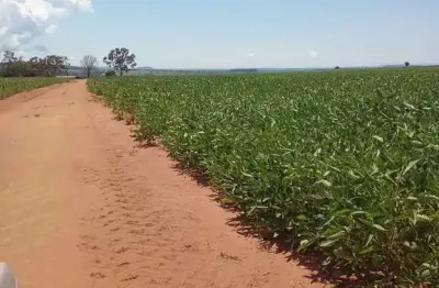 Fazenda com ótimo aproveitamento para agricultura com 300 alqueires em baliza-go