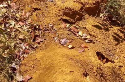 Fazenda dupla aptidão com 10.000 hectares área bruta em barão de grajaú - ma