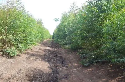 Ótima fazenda dupla aptidão 70 alqueires paulistas em formiga-mg