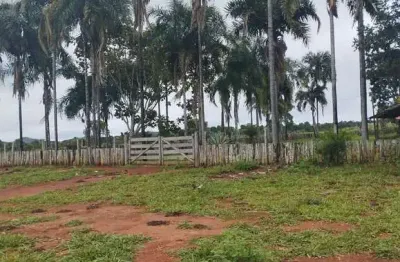 Fazenda à venda na Estrada Vicinal Municipal De Bom Jardim, Zona Rural, Bom Jardim de Goiás